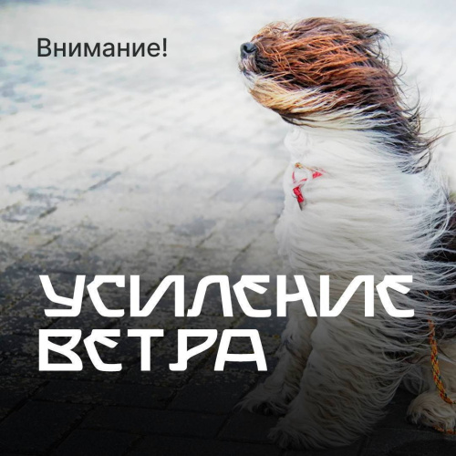 Внимание! Усиление ветра 
